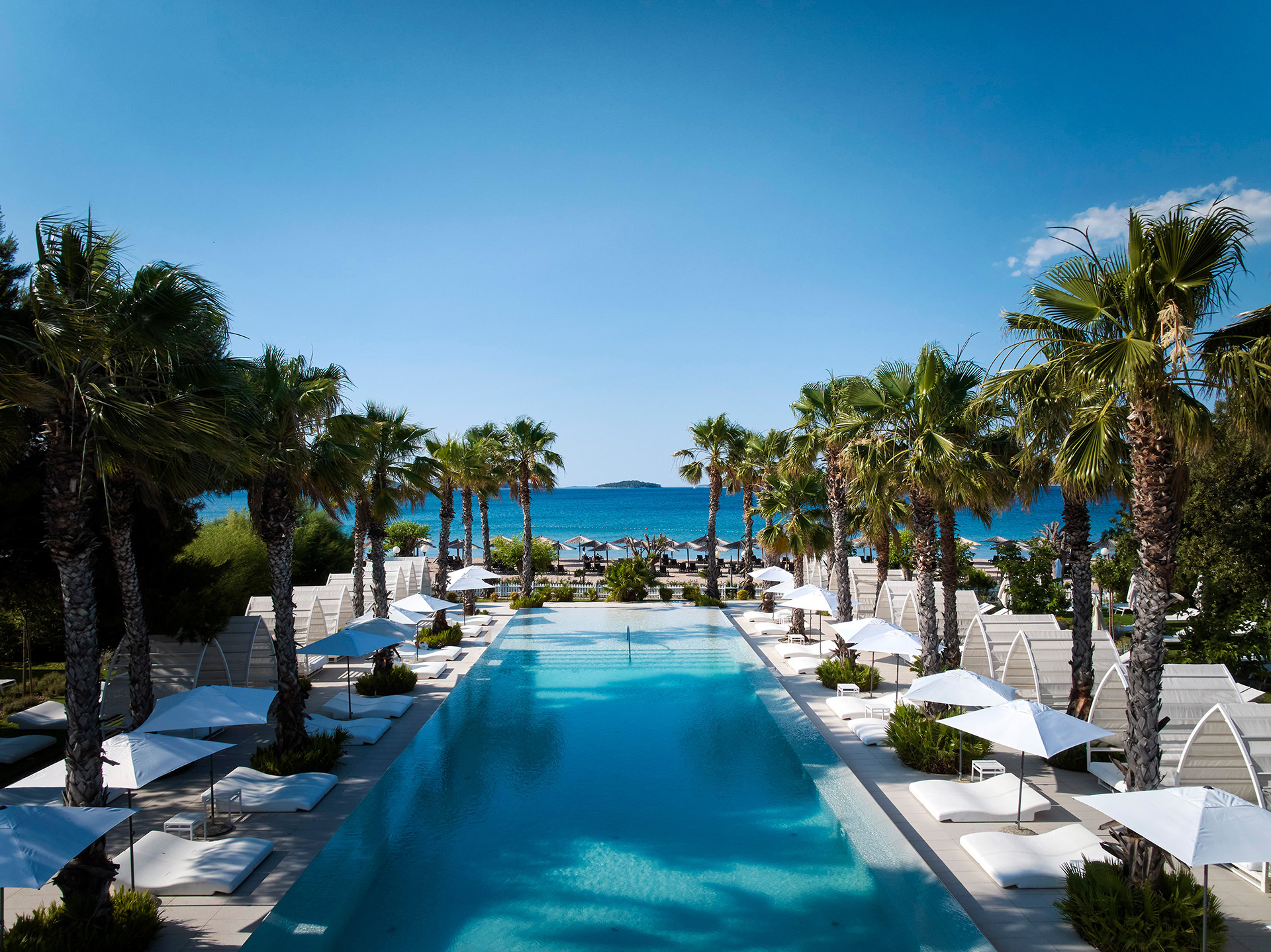 Pool des Amadria Park Hotels mit Palmen und Meerblick